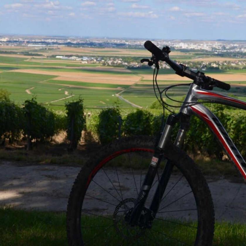 Gite Saint Martin Pargny-les-Reims Kültér fotó